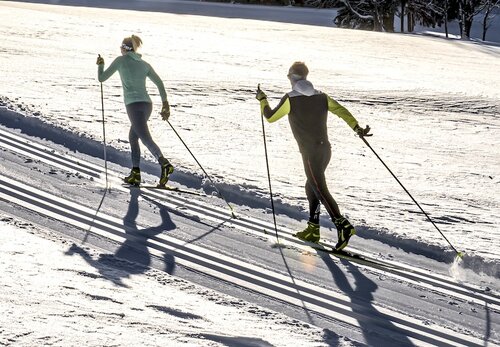 Skilehrerverband Steiermark